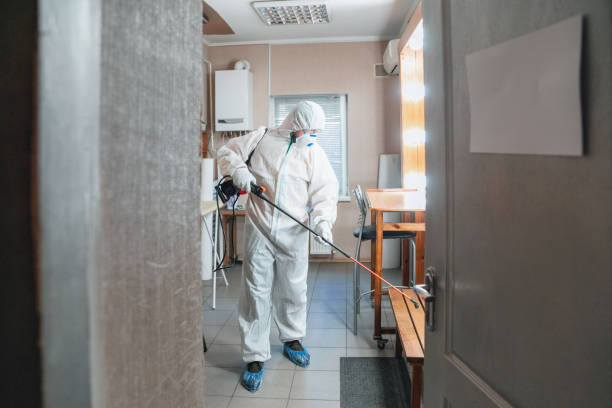 Why You Should Choose Our Mold Remediation Services in Brownsville, TX